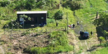 Foto: Reprodução/PCPR