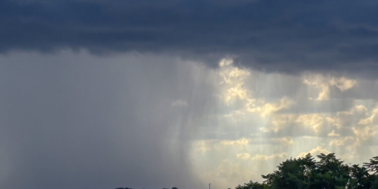 Foto: Roberto Dziura Jr/AEN