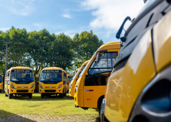 Foto: Lucas Fermin/SEED