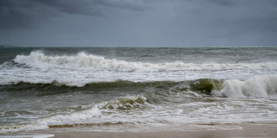 foto: Ilustração/Freepik