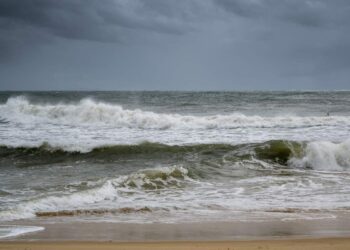 foto: Ilustração/Freepik