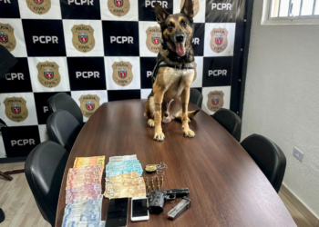 Mãe e filho são presos por tráfico de drogas em Antonina