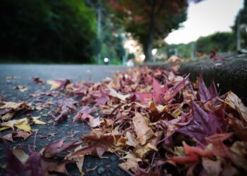 Foto: Geraldo Bubniak/AEN