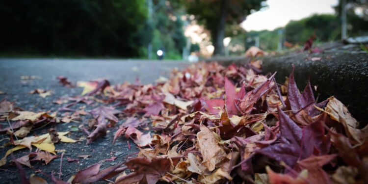 Foto: Geraldo Bubniak/AEN