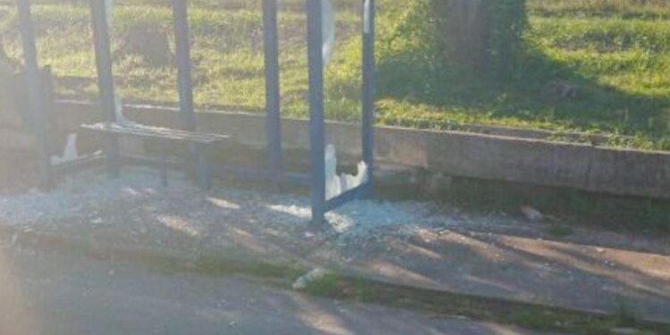 Homem é preso após depredar ponto de ônibus no bairro Parque São João