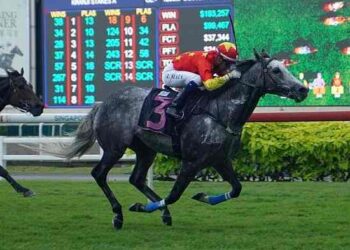 De Paranaguá para o mundo: Ruan Maia brilha no turfe internacional e leva o nome da cidade à Coreia do Sul