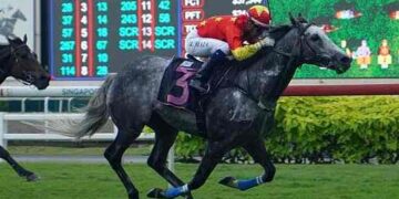 De Paranaguá para o mundo: Ruan Maia brilha no turfe internacional e leva o nome da cidade à Coreia do Sul