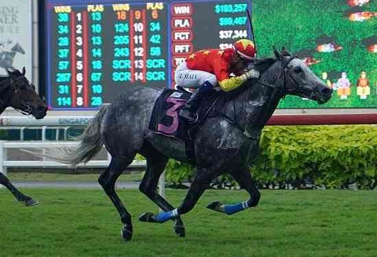 De Paranaguá para o mundo: Ruan Maia brilha no turfe internacional e leva o nome da cidade à Coreia do Sul