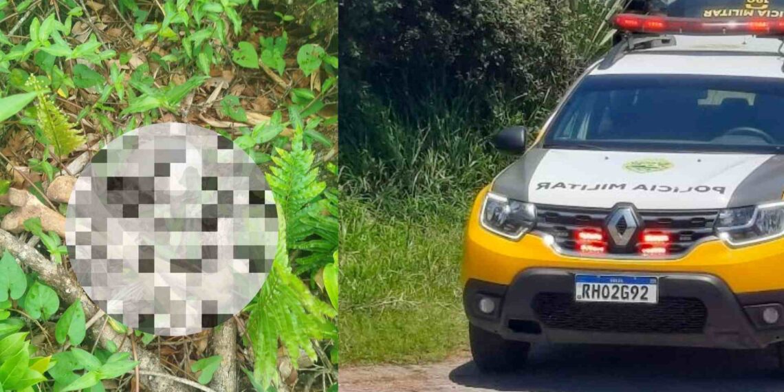 Ossada humana é encontrada no Balneário Marisol em Pontal do Paraná