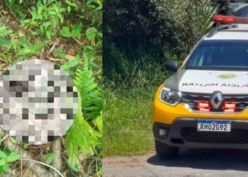 Ossada humana é encontrada no Balneário Marisol em Pontal do Paraná