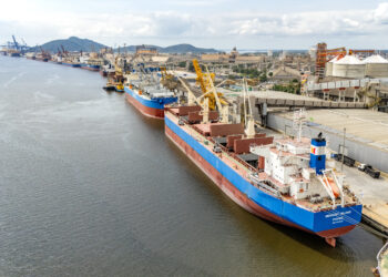 Porto de Paranaguá registra maior operação de cevada da história com 50 mil toneladas