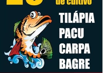 Paranaguá recebe 29ª Feira de Peixes com expectativa de grande público