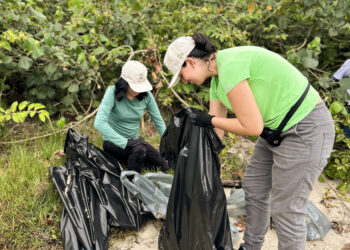 Mutirão da Portos do Paraná recolhe quase 200 kg de resíduos em manguezais