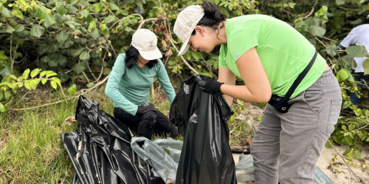 Mutirão da Portos do Paraná recolhe quase 200 kg de resíduos em manguezais