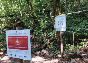 IAT e Polícia Militar multam 15 pessoas por acesso irregular ao Pico Paraná em um dia