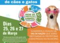 Pontal do Paraná terá mutirão de castração gratuita para cães e gatos nos dias 25, 26 e 27 de Março