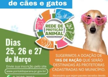 Pontal do Paraná terá mutirão de castração gratuita para cães e gatos nos dias 25, 26 e 27 de Março