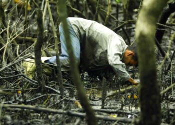 Foto: Denis Ferreira Netto/SEDEST