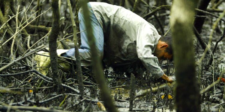 Foto: Denis Ferreira Netto/SEDEST