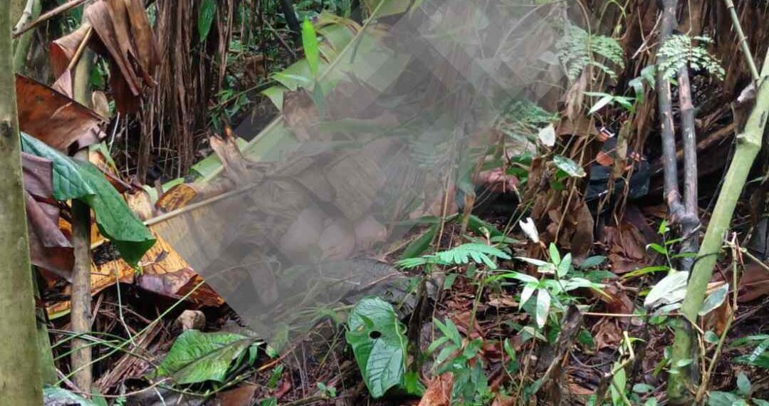 Foto: Conexão Antonina