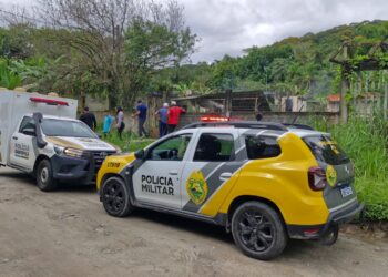 Polícia Civil apura indícios de homicídio após protetora dos animais ser encontrada morta carbonizada em Paranaguá