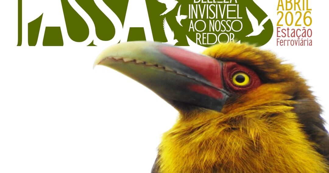 Exposição fotográfica sobre aves abre ao público na Estação Ferroviária de Paranaguá