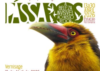 Exposição fotográfica sobre aves abre ao público na Estação Ferroviária de Paranaguá