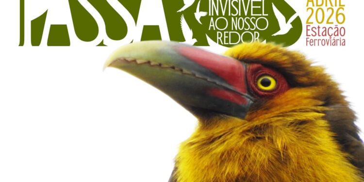 Exposição fotográfica sobre aves abre ao público na Estação Ferroviária de Paranaguá