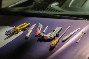 Foto: GCM Paranaguá