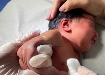 Paraná amplia vacinação da BCG em maternidades e protege bebês contra a tuberculose