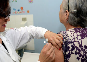 Foto: Venilton Kuchler/SESA