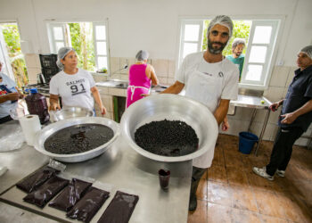 Açaí juçara vira alternativa de renda para comunidades caiçaras no Litoral do Paraná