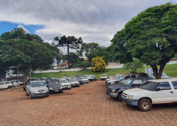 Paraná inicia leilão com 192 veículos e lances a partir de R$ 525