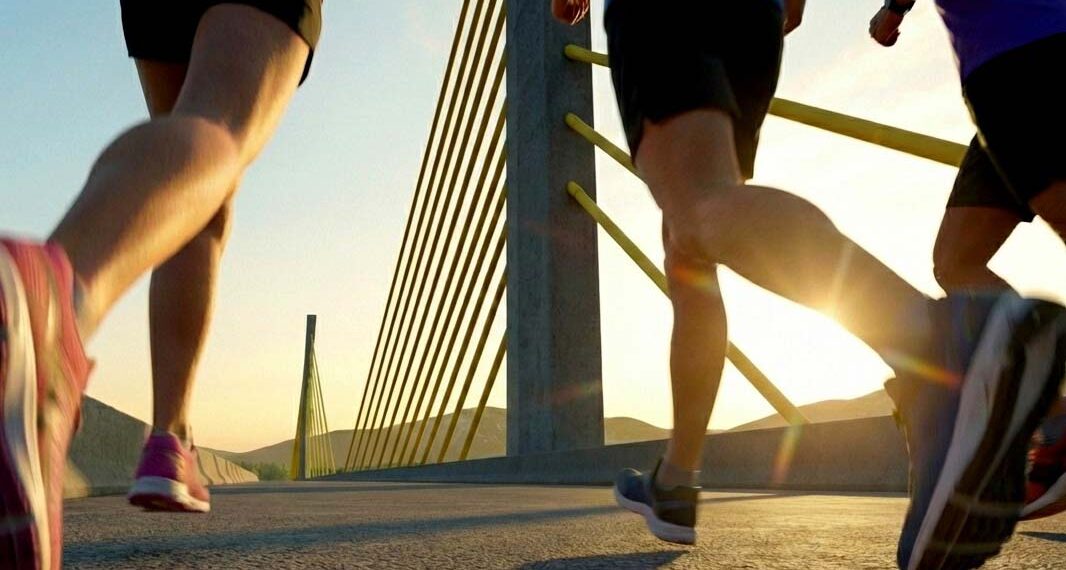 Foto: Divulgação/MIP