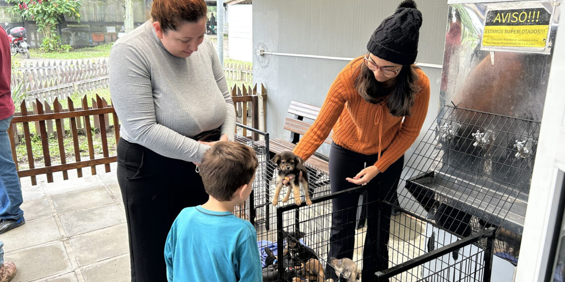 Feira de Adoção terá quase 200 animais à espera de um novo lar em Paranaguá