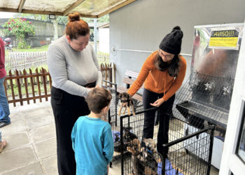 Feira de Adoção terá quase 200 animais à espera de um novo lar em Paranaguá