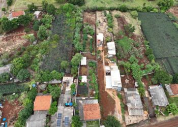 OPERAÇÃO DO IAT APLICA R$ 44 MILHÕES EM MULTAS POR IRREGULARIDADES AMBIENTAIS NO PARANÁ