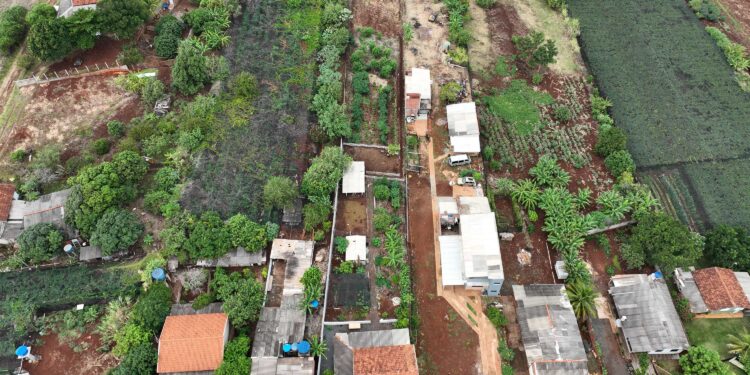 OPERAÇÃO DO IAT APLICA R$ 44 MILHÕES EM MULTAS POR IRREGULARIDADES AMBIENTAIS NO PARANÁ
