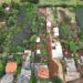 OPERAÇÃO DO IAT APLICA R$ 44 MILHÕES EM MULTAS POR IRREGULARIDADES AMBIENTAIS NO PARANÁ