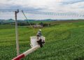 COPEL AGRO COMPLETA UM MÊS COM 25 MIL ATENDIMENTOS E 95,4% DE SATISFAÇÃO DOS CLIENTES