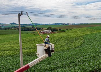 COPEL AGRO COMPLETA UM MÊS COM 25 MIL ATENDIMENTOS E 95,4% DE SATISFAÇÃO DOS CLIENTES