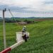 COPEL AGRO COMPLETA UM MÊS COM 25 MIL ATENDIMENTOS E 95,4% DE SATISFAÇÃO DOS CLIENTES