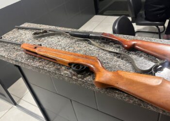 Homem é acusado de agredir e ameaçar a filha com espingarda em área rural de Morretes