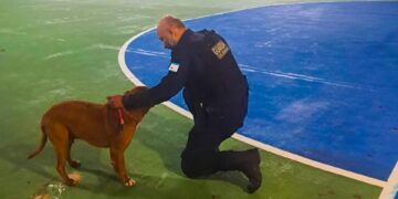Guarda Municipal resgata pit bull em situação de maus-tratos em Pontal do Sul