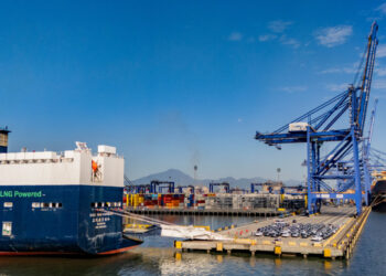 Porto de Paranaguá assume vice-liderança nacional na movimentação de veículos