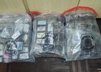 Caminhoneiro é preso transportando mais de 20 quilos de haxixe na BR-277, em Paranaguá