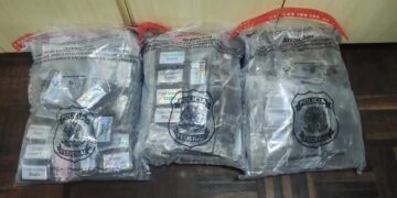 Caminhoneiro é preso transportando mais de 20 quilos de haxixe na BR-277, em Paranaguá