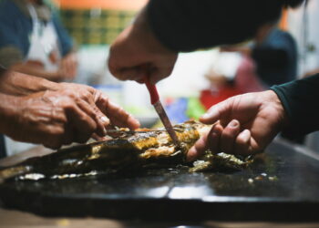 Ilha do Mel recebe durante o mês de julho a sua tradicional Festa da Tainha