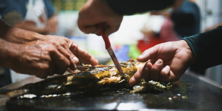 Ilha do Mel recebe durante o mês de julho a sua tradicional Festa da Tainha