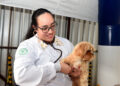 Vet-Móvel registra 32,3 mil agendamentos e avança para mais cidades do Paraná